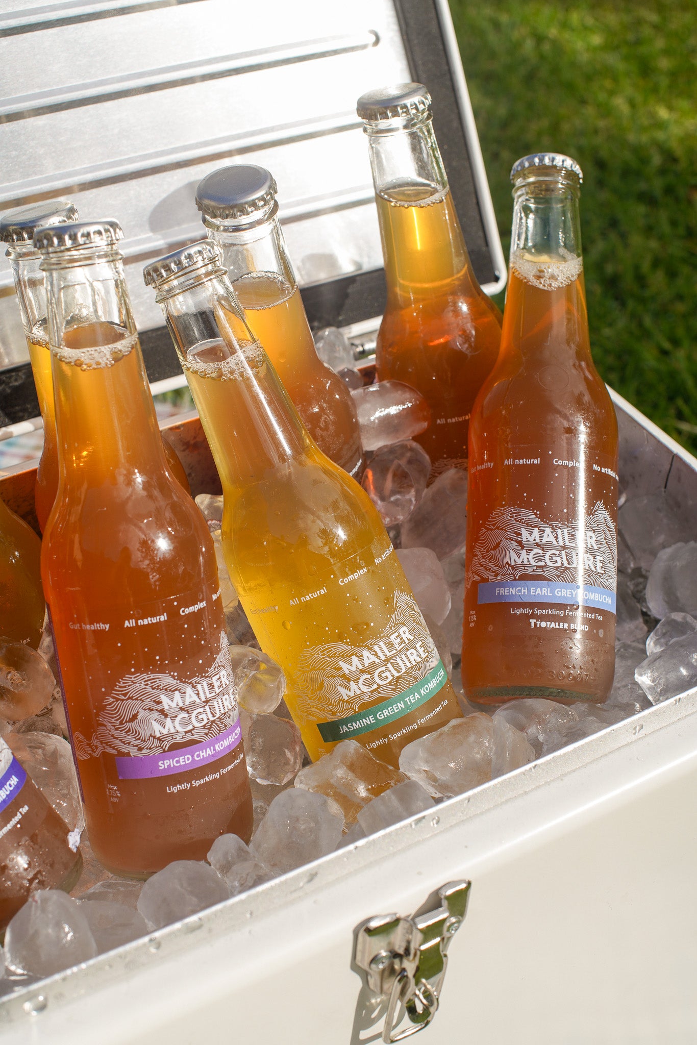 Kombucha Mixed Pack
